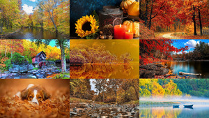 klicke hier, um die Datei herunterzuladen Herbst 20