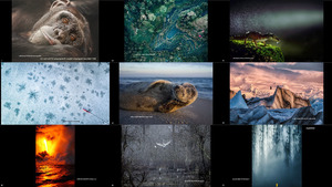 2017 National Geographic Nature Photographer of the Year 2