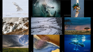 2017 National Geographic Nature Photographer of the Year 3