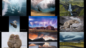 klicke hier, um die Datei herunterzuladen 2017 National Geographic Nature Photographer of the Year 4