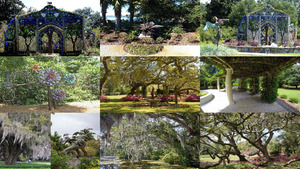 klicke hier, um die Datei herunterzuladen USA Airlie Gardens Wilmington.Erika