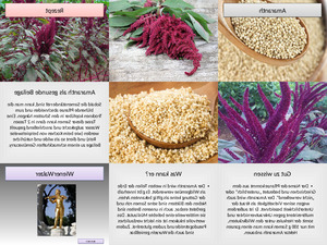 klicke hier, um die Datei herunterzuladen Amaranth