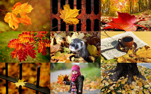 klicke hier, um die Datei herunterzuladen Autumn Leaves - Herbstblätter