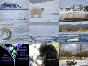 Bilder-Galerien vom 08082017 4 Schnee und Eis Landschaften