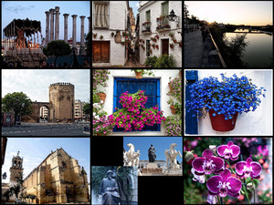 klicke hier, um die Datei herunterzuladen Spanien-Cordoba