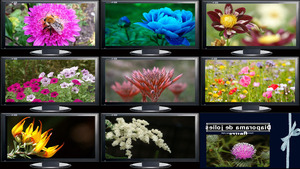 klicke hier, um die Datei herunterzuladen Diaporama de jolies fleurs - Diashow von hübschen Blumen
