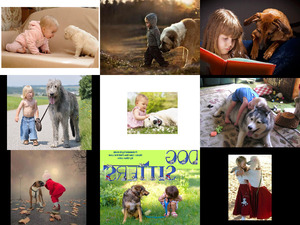 klicke hier, um die Datei herunterzuladen Dog sitters - Hundesitter