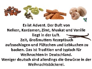 klicke hier, um die Datei herunterzuladen Das Fremde in der Heimat