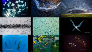 klicke hier, um die Datei herunterzuladen 2017 National Geographic Nature Photographer of the Year 5