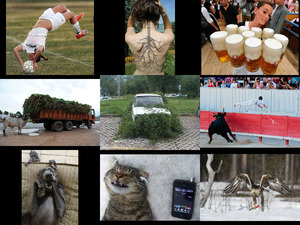 klicke hier, um die Datei herunterzuladen All kinds of nonsense - Alle Arten von Unsinn