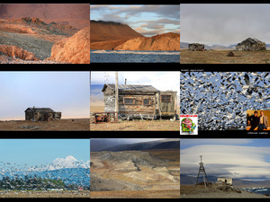 Wrangel island - Wrangel insel