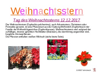 Weihnachtsstern