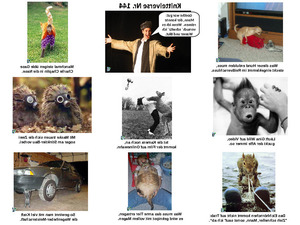 klicke hier, um die Datei herunterzuladen Knittelverse Nr. 144