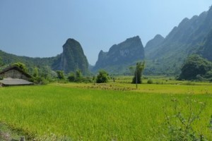 Impressionen aus Vietnam 1