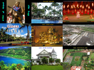 klicke hier, um die Datei herunterzuladen Aloha from Hawaii