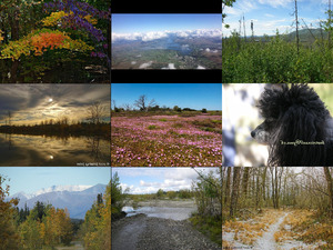 klicke hier, um die Datei herunterzuladen Bilder-Galerien vom 08082017 3 Landschaftsbilder