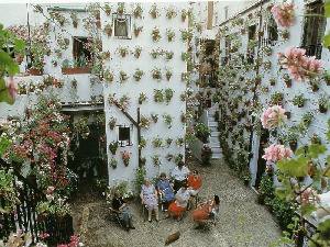 klicke hier, um die Datei herunterzuladen Blumen giessen