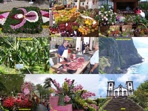 klicke hier, um die Datei herunterzuladen Madeira2