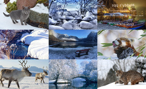 klicke hier, um die Datei herunterzuladen December - Dezember