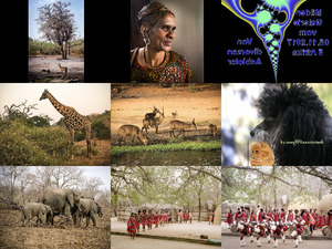 klicke hier, um die Datei herunterzuladen Bilder-Galerie vom 05112017 5 Afrika