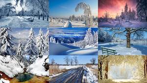 klicke hier, um die Datei herunterzuladen Winter 37