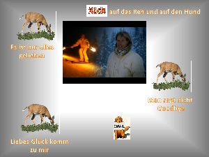 Hansi Hinterseer vom 14112017 2