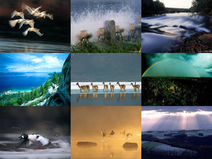 klicke hier, um die Datei herunterzuladen Fantastische Naturfotos