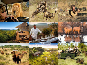 Madikwe Safari