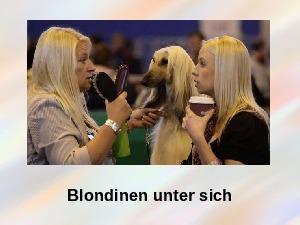 Blondinen sind schlau