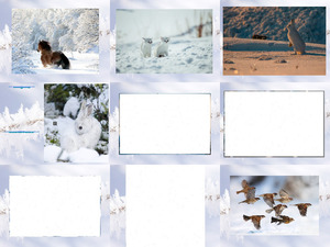 klicke hier, um die Datei herunterzuladen Animaux Hiver Neige 1 - Tiere Winter Schnee 1