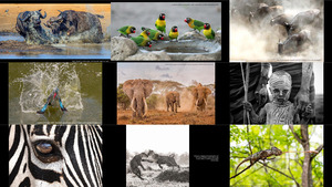 klicke hier, um die Datei herunterzuladen Africa Geographic Photographer of the Year 2018 (1)