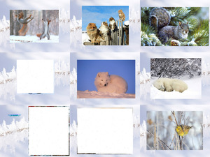 klicke hier, um die Datei herunterzuladen Animaux Hiver Neige 2 - Tiere Winter Schnee 2