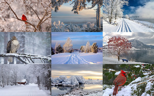 klicke hier, um die Datei herunterzuladen It s Cold Outside 2 - Es ist kalt draußen 2