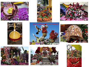 klicke hier, um die Datei herunterzuladen Blumenfestival Pasadena