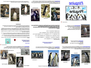 klicke hier, um die Datei herunterzuladen Pinguine