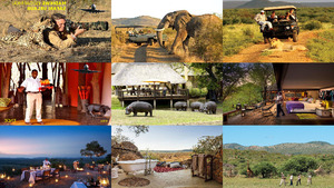 Sdafrika Safari Urlaub
