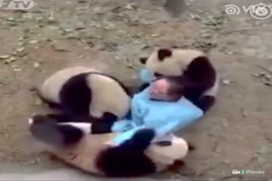 Pandabärchen