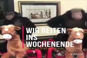 Freitag