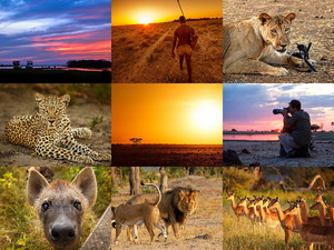 Ed Hetherington Photography - Schne Tierfotos in Afrika