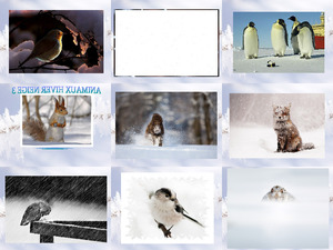 klicke hier, um die Datei herunterzuladen Animaux Hiver Neige 3 - Tiere Winter Schnee 3