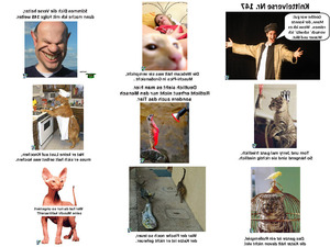 klicke hier, um die Datei herunterzuladen Knittelverse Nr. 147