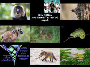 Bilder-Galerie vom 06122017 Wildlife 1