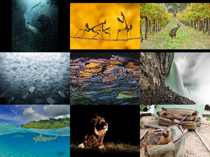 klicke hier, um die Datei herunterzuladen National Geographic