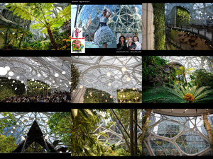 Amazon's Spheres - Amazonas Kugeln