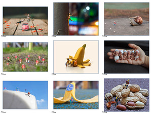 klicke hier, um die Datei herunterzuladen En miniature N°4 - Miniatur Bilder 4