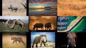 klicke hier, um die Datei herunterzuladen Africa s Photographer of the Year 2017 -