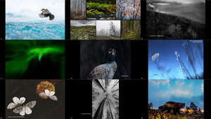 The Winners of Nordic Nature Photo Contest 2018 (2-1) -