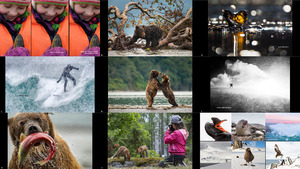 klicke hier, um die Datei herunterzuladen The Winners of Nordic Nature Photo Contest 2018 (2-2)-