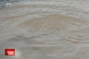 geht es hier nach K�ln