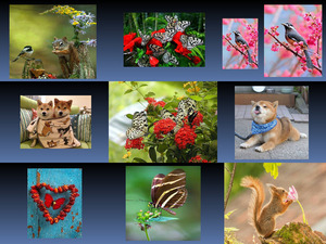 klicke hier, um die Datei herunterzuladen Flowers - Butterflies 2